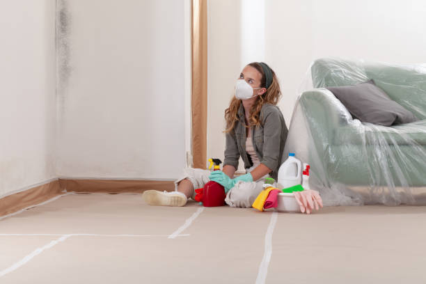 Reliable Mold Inspection And Testing contractor in Annapolis, MD by Car Mold Remediation